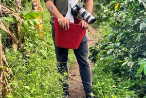 Medellin: Kaffefarm-tur – smak på Sierra-historiene