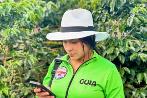 Medellin: Kaffefarm-tur – smak på Sierra-historiene