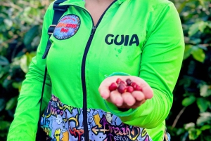 Medellin: Kaffefarm-tur – smak på Sierra-historiene