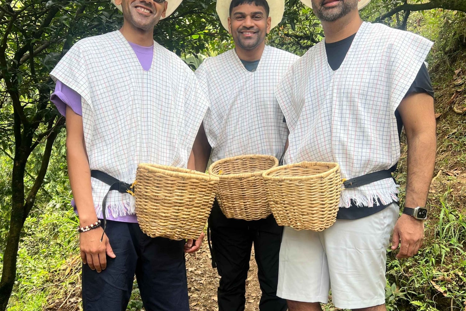 メデジン：コーヒー農園ツアー（試飲・収穫体験付き）