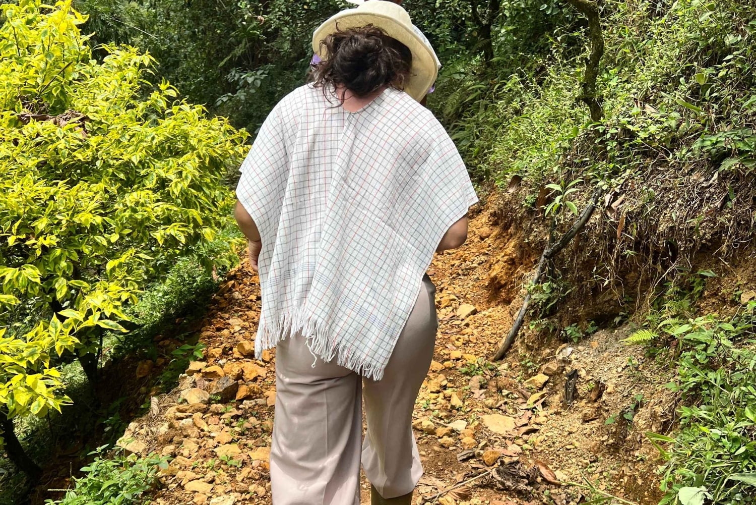 メデジン：コーヒー農園ツアー（試飲・収穫体験付き）