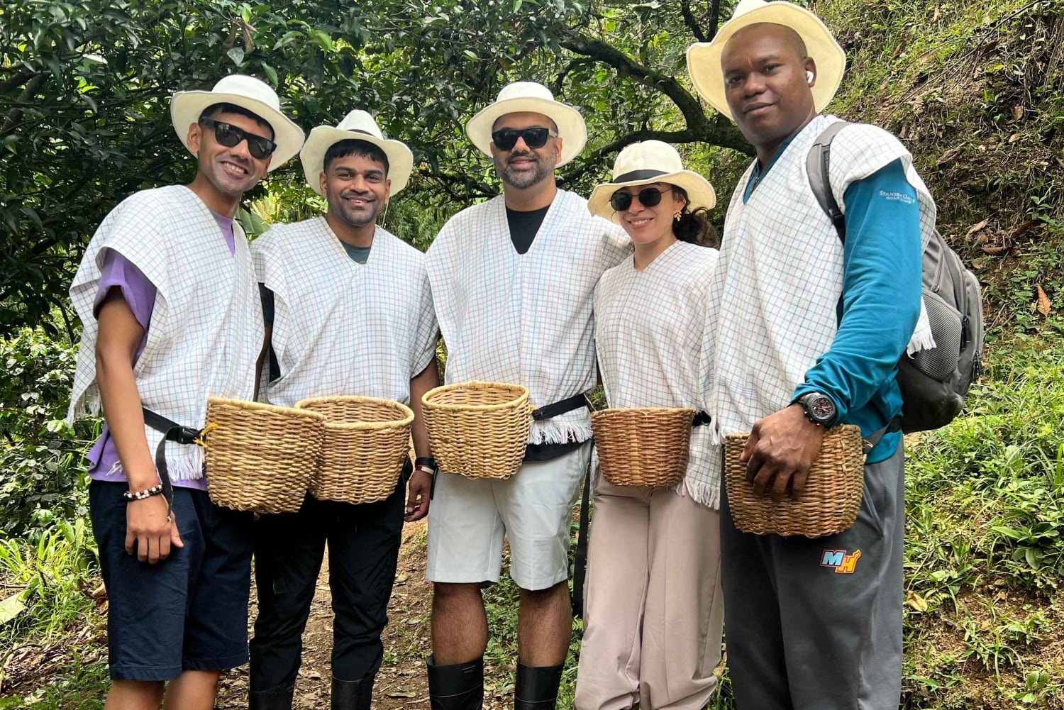 メデジン：コーヒー農園ツアー（試飲・収穫体験付き）