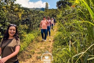 Medellín: Excursão a uma fazenda de café com experiência de degustação