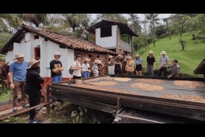 Medellín: Excursão a uma fazenda de café com experiência de degustação