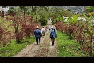 Medellín: Excursão a uma fazenda de café com experiência de degustação