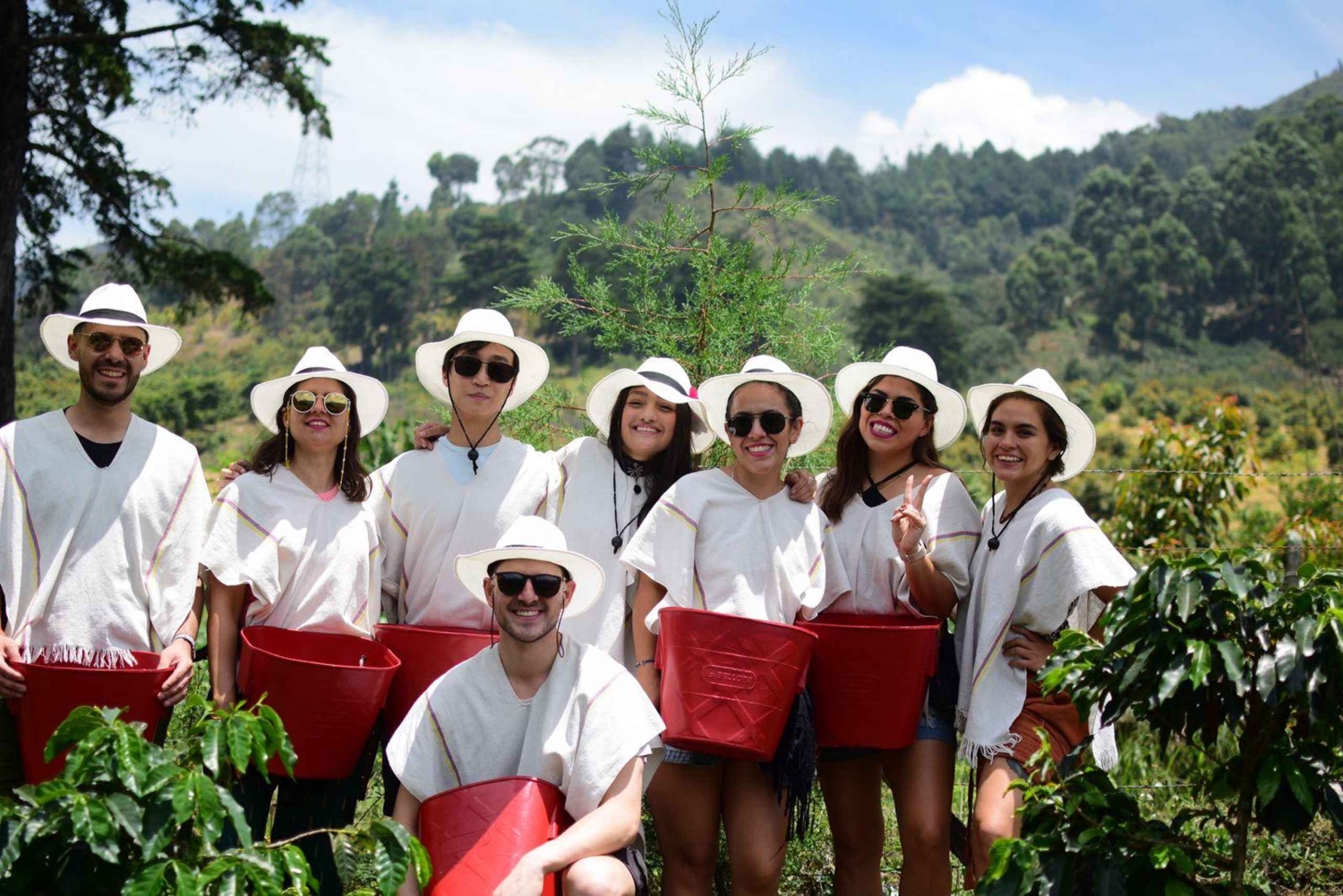 Medellín Coffee Farm Tour with Trolley and Cable Car Ride