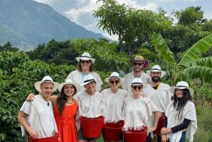 Medellín Coffee Farm Tour with Trolley and Cable Car Ride