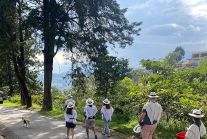 Kaffeodlingstur i Medellín med spårvagns- och linbanetur