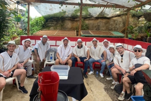 Kaffeodlingstur i Medellín med spårvagns- och linbanetur