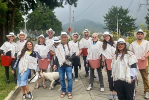 Kaffeodlingstur i Medellín med spårvagns- och linbanetur