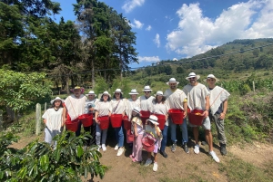 Kaffeodlingstur i Medellín med spårvagns- och linbanetur