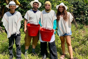 Kaffeodlingstur i Medellín med spårvagns- och linbanetur