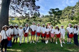 Kaffeodlingstur i Medellín med spårvagns- och linbanetur