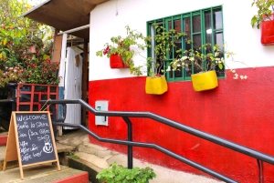 Medellín Coffee Farm Tour with Trolley and Cable Car Ride