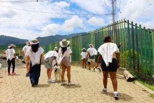 Medellín Coffee Farm Tour with Trolley and Cable Car Ride