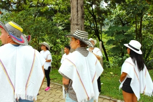 Medellín Coffee Farm Tour with Trolley and Cable Car Ride