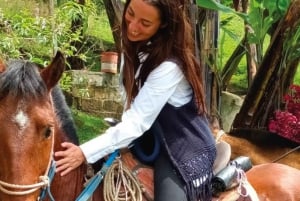 Medellín: Tour del Café y Spa de Bienestar