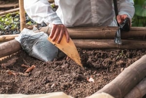 Medellín: Tour del Café y Spa de Bienestar