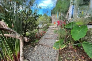 Medellín: Tour del Café y Spa de Bienestar