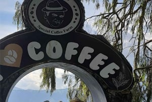 Medellín: Tour del Café y Spa de Bienestar