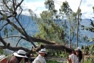 Medellín: Tour del Café y Spa de Bienestar