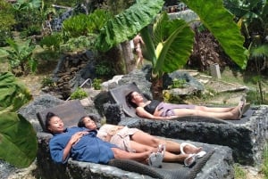 Medellín: Tour del Café y Spa de Bienestar