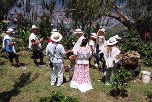 Medellín: Tour del Café y Spa de Bienestar