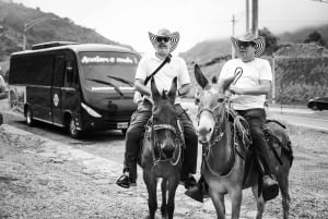 Medellín: Tour del Café, Llegada a Caballo y Caña de Azúcar