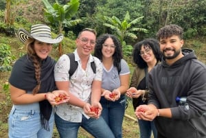 Medellin: Coffee Tour in the Beautiful Mountains of Medellin