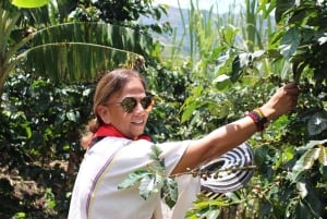 Medellin: Koffietour met hoteltransfers en maaltijden