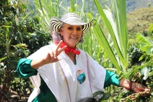 Medellin: Koffietour met hoteltransfers en maaltijden