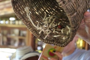 Medellin: Koffietour met hoteltransfers en maaltijden