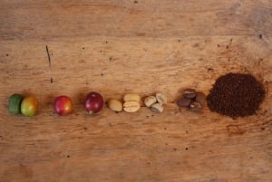 Medellin: Koffietour met hoteltransfers en maaltijden