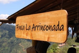 Medellin: Koffietour met hoteltransfers en maaltijden