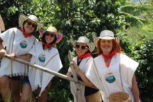Medellin: Koffietour met hoteltransfers en maaltijden