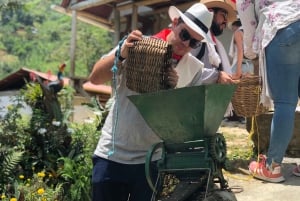 Medellín: Coffee Tour With Tastings and Lunch