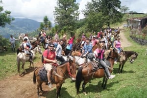 Medellín: Coffee Tour With Tastings and Lunch