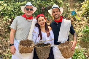 Medellín: Coffee Tour With Tastings and Lunch