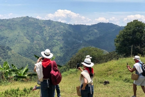 Medellín: Coffee Tour With Tastings and Lunch