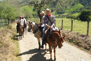 Medellín: Coffee Tour With Tastings and Lunch