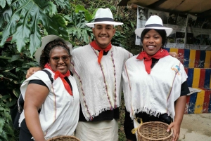 Medellín: tour de café con degustaciones y comida