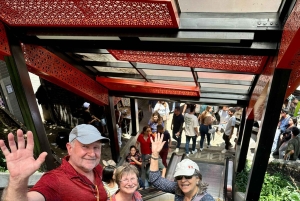 Medellín: Recorrido por la Comuna 13, historia, guía local y teleférico