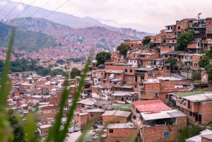 Medellín: Comuna 13 Unplugged with Rooftop Ritual and Coffee