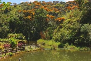 MEDELLÍN: DÍA DE SOL EL ENCANTO DE COCORNÁ