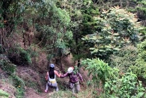 Medellin: Day Trip to Private Zipline and Waterfall Trek