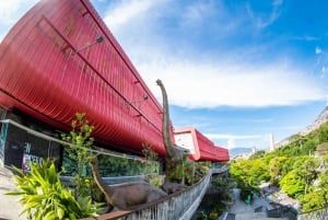 Medellin : Discover best plans recommended by local people