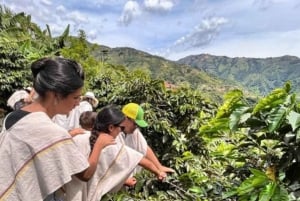 Medellin : Discover best plans recommended by local people