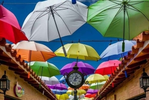 Medellin; Eventyr i den østlige del af landet, magiske landsbyer, orkideer og landskaber