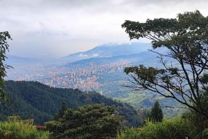 Medellín: Tour a La Catedral - Storia di Pablo Escobar e del suo impatto