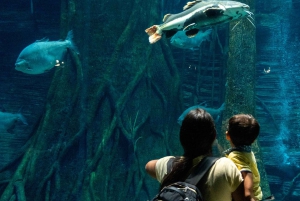 Medellín: Toegang tot Parque Explora